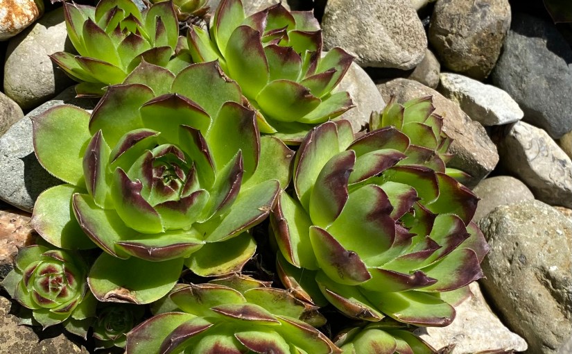 Truth Telling for My 2022&nbsp;Graduates